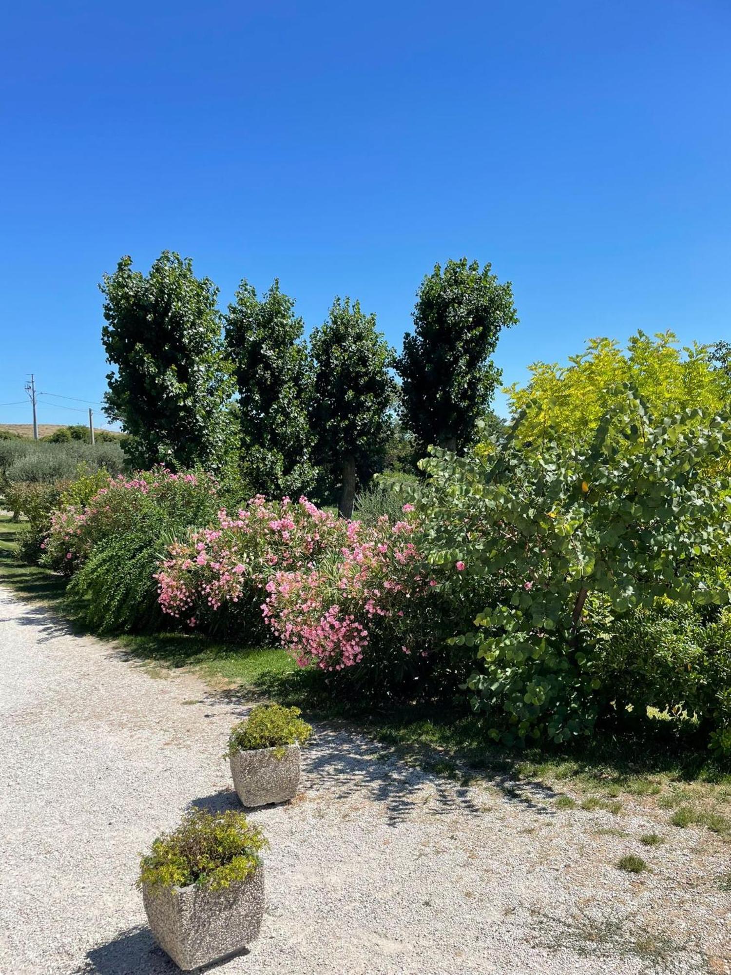 Agriturismo Villa Rosetta San Severino Marche Exterior photo