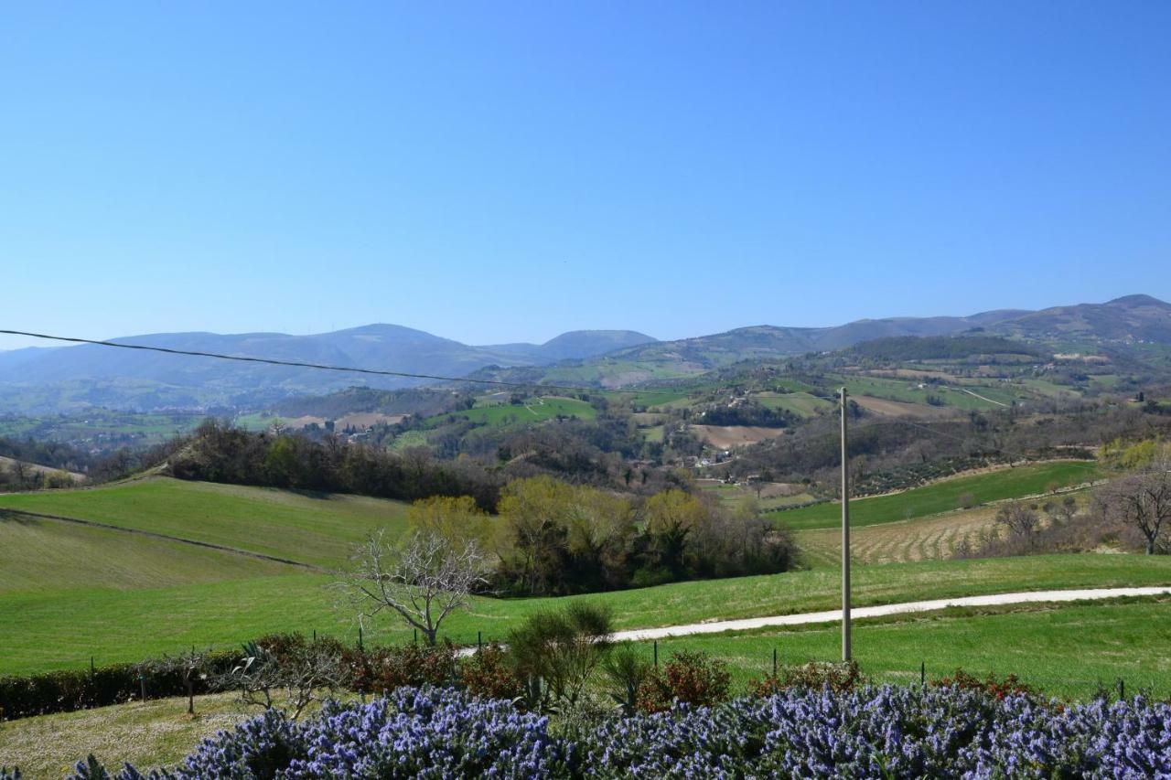 Agriturismo Villa Rosetta San Severino Marche Exterior photo